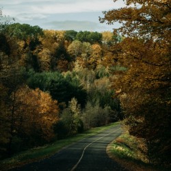 Route dautomne